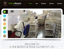 Tablet Screenshot of aonebiotech.com